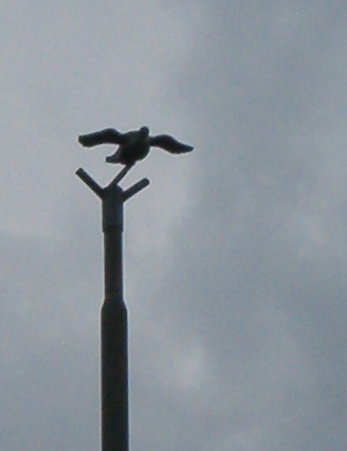 Der Vogel auf dem Baum beim Finalschießen